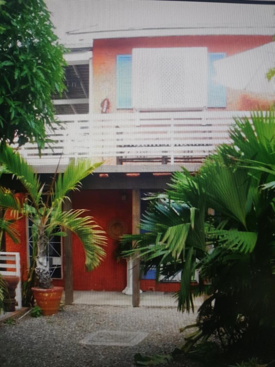 Hotel Mikuzi Kingston Esterno foto